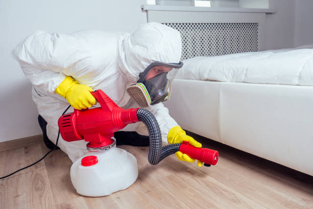 Best Fumigation Services  in Worthgton, IN